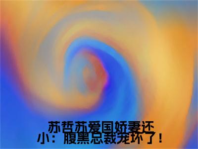  苏哲苏爱国（娇妻还小：腹黑总裁宠坏了！）免费小说-娇妻还小：腹黑总裁宠坏了！全文在线阅读