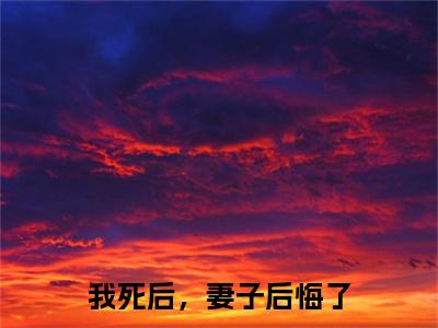 贺辰希白落冉免费阅读无弹窗大结局，我死后，妻子后悔了最新章节