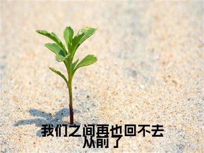 倪永莲左泽宇（我们之间再也回不去从前了）全文免费阅读_我们之间再也回不去从前了最新章节小说免费阅读_笔趣阁倪永莲左泽宇