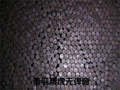 三国：多子多福，开局截胡蔡琰精选热门好书-三国：多子多福，开局截胡蔡琰（ 秦羽秦虎）全文无删减版在线阅读