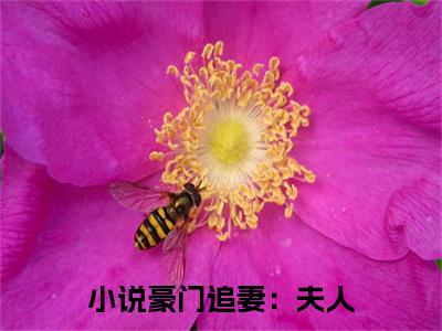 小说豪门追妻：夫人，你马甲真多( 唐柒陆珩年)全文免费阅读无弹窗大结局_( 唐柒陆珩年免费阅读)小说豪门追妻：夫人，你马甲真多无弹窗最新章节列表_笔趣阁（ 唐柒陆珩年）