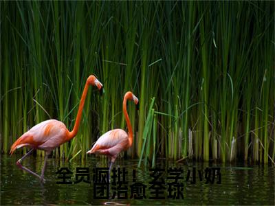 小说星星（全员疯批！玄学小奶团治愈全球小说免费阅读）完结阅读，星星在线阅读