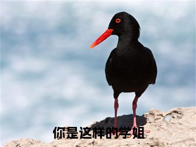 你是这样的学姐(李庭筠)全文免费阅读大结局_(你是这样的学姐)李庭筠免费在线阅读无删减_笔趣阁