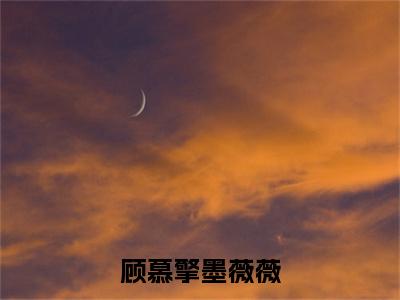 顾慕擎墨薇薇小说(墨薇薇顾慕擎)全文免费阅读无弹窗大结局_顾慕擎墨薇薇完整版最新阅读_笔趣阁(墨薇薇顾慕擎)