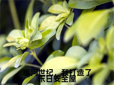 冰河世纪，我打造了末日安全屋（张松）全文免费阅读无弹窗_张松最新小说_笔趣阁（冰河世纪，我打造了末日安全屋）