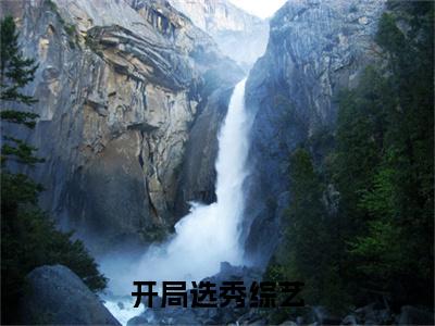 【新书】开局选秀综艺，从糊咖到顶级流量！全文全章节免费阅读- 秦疆王伯远 全文免费阅读无弹窗大结局
