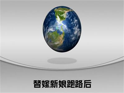 替嫁新娘跑路后，霸总追妻火葬场了免费阅读-（替嫁新娘跑路后，霸总追妻火葬场了）全文免费阅读无弹窗大结局（ 商渺盛聿）最新章节列表_笔趣阁
