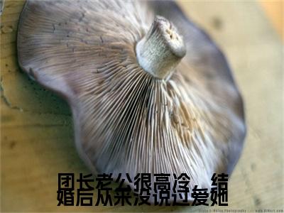 姜诗潼陆星泽人气小说团长老公很高冷，结婚后从来没说过爱她创在线阅读-正版小说《团长老公很高冷，结婚后从来没说过爱她》姜诗潼陆星泽全文阅读