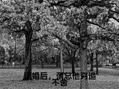 离婚后，薄总他穷追不舍(薄昀泽秦枝)全文免费阅读无弹窗大结局_(离婚后，薄总他穷追不舍)最新章节列表_薄昀泽秦枝