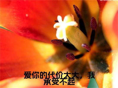 林舒然顾宴川（爱你的代价太大，我承受不起）全文免费阅读_（爱你的代价太大，我承受不起）林舒然顾宴川最新章节小说免费阅读_笔趣阁（爱你的代价太大，我承受不起）