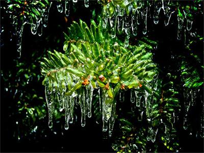 楚涵雪裴衍小说（楚涵雪裴衍）免费阅读_楚涵雪裴衍小说免费阅读-笔趣阁