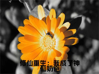 修仙重生：我成了神仙奶爸(赵星河)全文免费阅读_修仙重生：我成了神仙奶爸(赵星河)章节免费阅读-笔趣阁