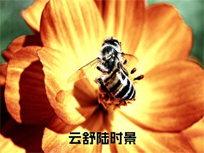 云舒陆时景（陆时景云舒）全文免费阅读-(陆时景云舒小说)云舒陆时景最新章节列表_笔趣阁（陆时景云舒）