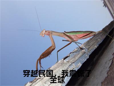 穿越民国,我震惊了全球(张学鸣)全文免费阅读无弹窗大结局_(穿越民国,我震惊了全球)穿越民国,我震惊了全球最新章节列表_笔趣阁(穿越民国,我震惊了全球)