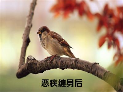  路过苏茗薇（恶疾缠身后，无情家人拿我当团宠）全文免费阅读_恶疾缠身后，无情家人拿我当团宠最新章节小说免费阅读_笔趣阁 路过苏茗薇