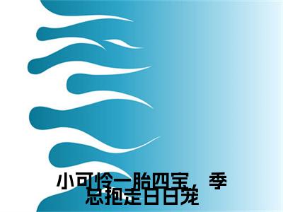 小说小可怜一胎四宝，季总抱走日日宠免费阅读-（盛朝朝季宴礼）全文无弹窗阅读