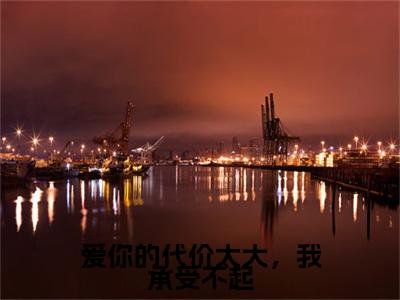 爱你的代价太大，我承受不起小说全文免费阅读无弹窗大结局_爱你的代价太大，我承受不起最新章节列表_笔趣阁