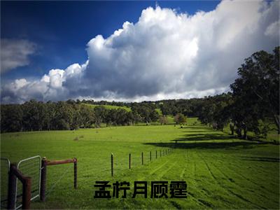 孟柠月顾霆（顾霆孟柠月）全文免费完结版阅读_（顾霆孟柠月）孟柠月顾霆最新章节列表笔趣阁（顾霆孟柠月）
