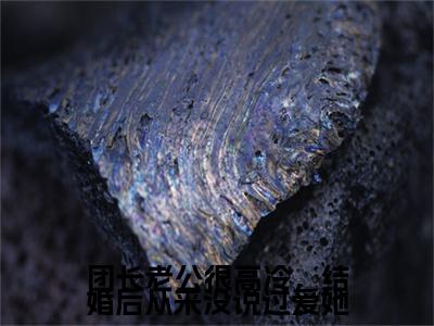 团长老公很高冷，结婚后从来没说过爱她全本资源（姜诗潼陆星泽）全文免费阅读无弹窗大结局_姜诗潼陆星泽最新章节列表（团长老公很高冷，结婚后从来没说过爱她）