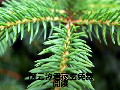  顾云汐君夜玄小说（君楚离顾云汐优质）完整版大结局-君楚离顾云汐优质小说免费阅读