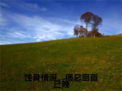 蚀骨情深，傅总回首已晚(许乔傅柏修)小说全文免费阅读-蚀骨情深，傅总回首已晚（许乔傅柏修）免费在线阅读完整版