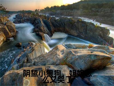 沈清禾陆潜小说(阴鸷小狼狗,姐姐怎么又哭了)免费阅读_沈清禾陆潜小说免费阅读-笔趣阁