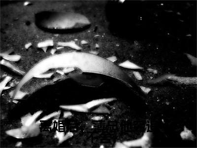 薄昀泽秦枝（离婚后，薄总他穷追不舍）小说全文免费阅读-薄昀泽秦枝免费阅读完整版