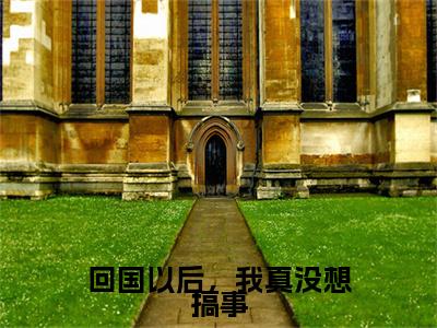 王天全文免费免费阅读无弹窗最新章节列表_笔趣阁（回国以后，我真没想搞事全文免费）