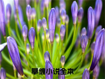 攀缠小说小说（ 周景维阮想）全文免费阅读无弹窗大结局_ 周景维阮想小说最新章节列表_笔趣阁