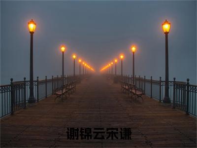 谢锦云宋谦全文免费在线阅读_(宋谦谢锦云全文免费阅读无弹窗大结局)谢锦云宋谦最新章节列表_笔趣阁