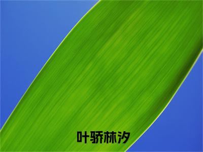 万人嫌他重生后，不对劲了（ 叶骄林汐）全文小说免费阅读_（ 叶骄林汐）万人嫌他重生后，不对劲了最新章节列表_笔趣阁（万人嫌他重生后，不对劲了）
