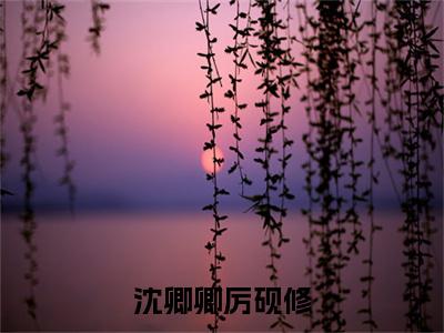 沈卿卿厉砚修（厉砚修沈卿卿）全文免费阅读无弹窗大结局_沈卿卿厉砚修最新章节列表_笔趣阁（厉砚修沈卿卿）