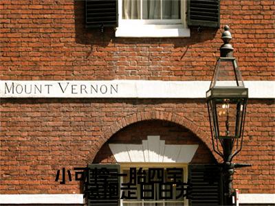 小可怜一胎四宝，季总抱走日日宠(盛朝朝季宴礼)全文免费阅读无弹窗大结局_(小可怜一胎四宝，季总抱走日日宠免费阅读)盛朝朝季宴礼无弹窗最新章节列表_笔趣阁（盛朝朝季宴礼）