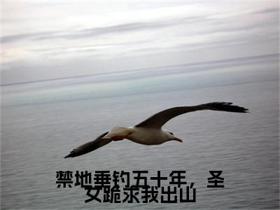热文秋无际在线免费读-禁地垂钓五十年，圣女跪求我出山的小说（秋无际）完整版免费读全文