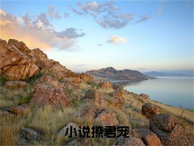  沈青梨靖安帝小说在线阅读（小说撩君宠）全文免费阅读无弹窗大结局_小说撩君宠小说免费最新章节列表_笔趣阁（ 沈青梨靖安帝）