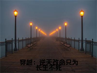 穿越：逆天改命只为长生不死全文免费阅读无弹窗大结局_( 杨凌晨东方云冰免费阅读)穿越：逆天改命只为长生不死最新章节列表_笔趣阁