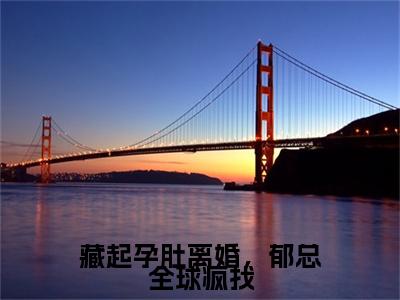 藏起孕肚离婚，郁总全球疯找(颜惜郁司霆)全文免费读无弹窗大结局_（颜惜郁司霆免费小说）藏起孕肚离婚，郁总全球疯找无弹窗最新章节列表_笔趣阁（颜惜郁司霆）