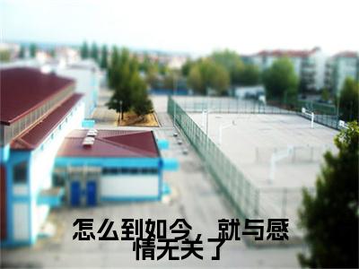 怎么到如今，就与感情无关了小说全文免费阅读_沈阙温天柔（沈阙温天柔）最新章节列表笔趣阁