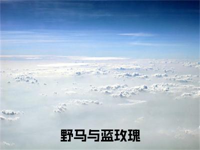 野马与蓝玫瑰(苏信萧芮)全文免费阅读无弹窗大结局_野马与蓝玫瑰最新章节列表_笔趣阁