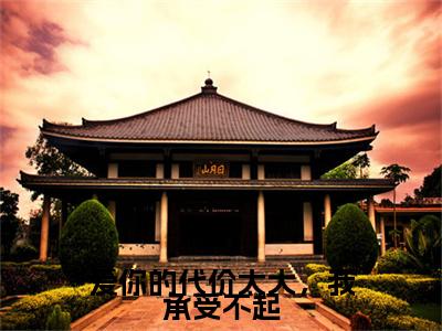 （林舒然顾宴川）爱你的代价太大，我承受不起全文免费阅读无弹窗大结局_(爱你的代价太大，我承受不起)林舒然顾宴川免费阅读无弹窗最新章节列表_笔趣阁（爱你的代价太大，我承受不起）