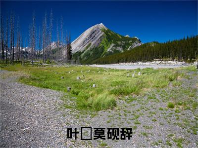 叶婳莫砚辞（莫砚辞叶婳）小说在线阅读_叶婳莫砚辞免费阅读笔趣阁（莫砚辞叶婳）