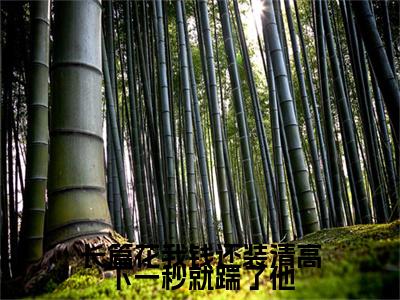 长篇花我钱还装清高下一秒就踹了他（ 陆思宇媛媛）全文免费阅读无弹窗大结局_（长篇花我钱还装清高下一秒就踹了他） 陆思宇媛媛最新章节列表_笔趣阁（ 陆思宇媛媛）