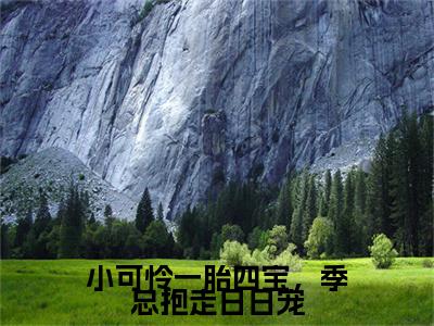 (热推新书)小可怜一胎四宝，季总抱走日日宠全文免费阅读无弹窗大结局-热推盛朝朝季宴礼无弹窗阅读小可怜一胎四宝，季总抱走日日宠在线阅读
