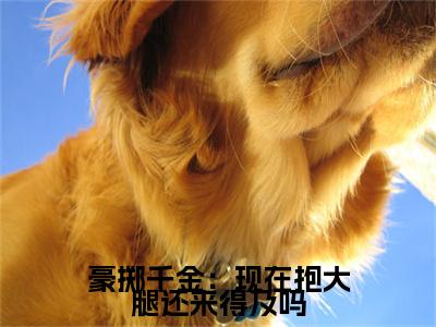 豪掷千金：现在抱大腿还来得及吗小说（ 陈玉芸陈瑶格）精彩章节- 陈玉芸陈瑶格全文免费在线阅读