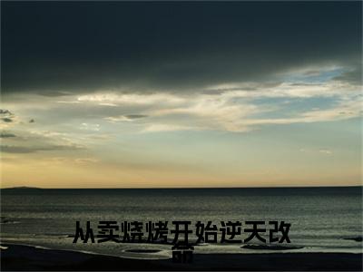 从卖烧烤开始逆天改命是什么小说，从卖烧烤开始逆天改命（ 范杰孙兰）完整章节在线阅读