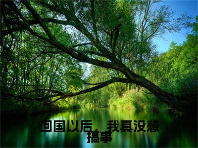 (王天)是什么小说-(回国以后,我真没想搞事)无弹窗免费阅读大结局最新章节列表_笔趣阁