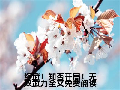 综武！知否开局！无双武力小说全文（ 叶明李元昊）全文免费阅读无弹窗大结局-（ 叶明李元昊）无弹窗免费阅读大结局