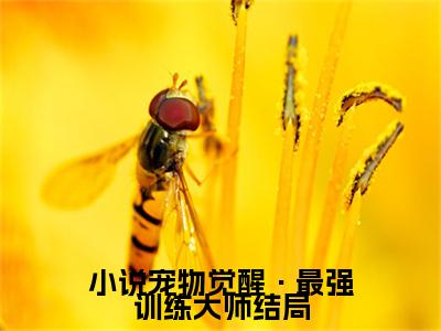  沈夜小拉达全文免费阅读无弹窗大结局_( 沈夜小拉达)最新章节列表笔趣阁（宠物觉醒·最强训练大师）