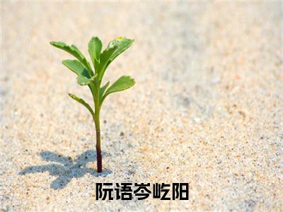 小说（阮语岑屹阳）免费阅读-小说（阮语岑屹阳）无弹窗大结局 阮语岑屹阳全文在线赏析最新章节列表_笔趣阁