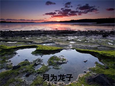 身为龙子，开局被亲爹索命（ 姜九萱刘雯雯）全文免费阅读_ 姜九萱刘雯雯正版小说全文阅读